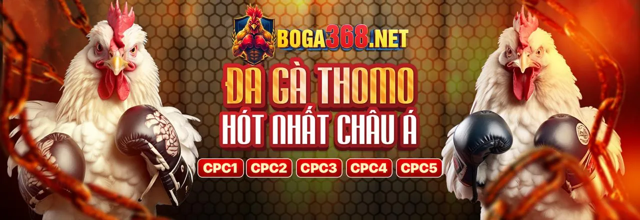 Sân đá gà trực tuyến fe88 chính thức với không khí sôi động